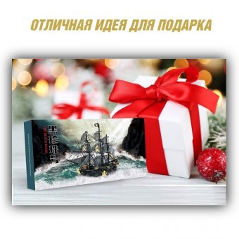 Металлический 3D пазл "Месть королевы Анны" CleverTech, 439 элементов