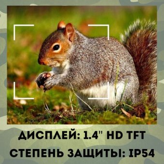 Бинокль с инфракрасным светодиодом CleverTech до 300 м, увеличение 8Х